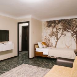 2-комнатные апартаменты стандарт с 1 односпальной и 1 двуспальной кроватью