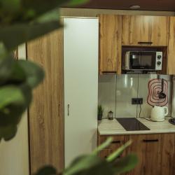 1-комнатные апартаменты студия