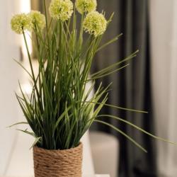 1-комнатные апартаменты улучшенные