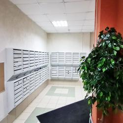 Фото Апартаменты Яркая Поляна Одуванчиков на улице Демьяна Бедного