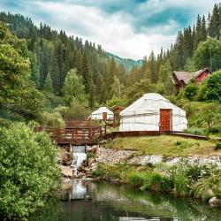 Фото Отель Ой-Карагай Лесная Сказка (Oi-Qaragai)