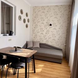 1-комнатные апартаменты студия