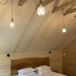 Фото Отель Шишка