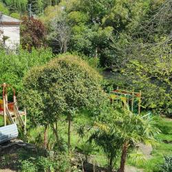 Фото Отель Гостевой дом SeaLoo