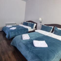 Фото Отель Шишкино-парк аэропорт Домодедово