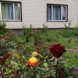 Фото Отель Камчатдар