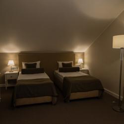 Номер комфорт (мансарда)