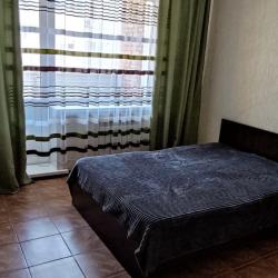 Фото Апартаменты на улице им. Героя Советского Союза Трофимова 17/2