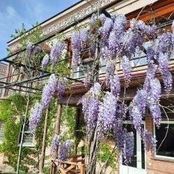 Фото Отель Пан Азиат