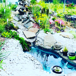 3-комнатный коттедж улучшенный