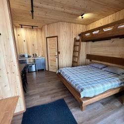 Номер стандарт семейный с 1 двуспальной кроватью