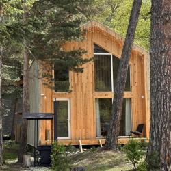 Фото Отель Шишка