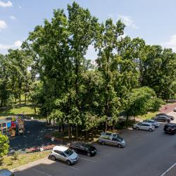 Фото Апартаменты на улице Генерала Трошева