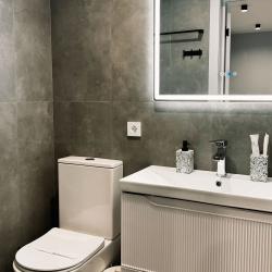 3-местный номер люкс с 1 двуспальной кроватью