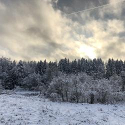 Фото Отель Рузские
