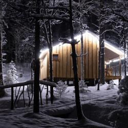 Коттедж стандарт с 1 двуспальной кроватью