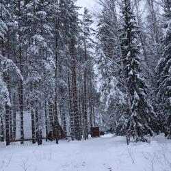 Фото Отель Живой Ручей