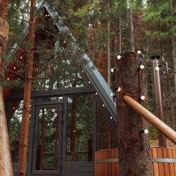 Фото Отель Хвойная хижина