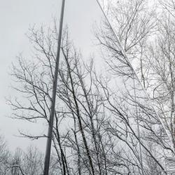 Фото Отель Дома