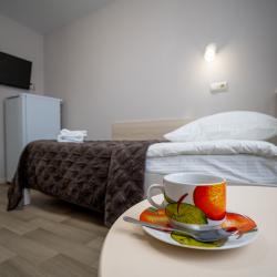 1-местный номер стандарт (с пансионом)