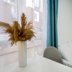 Апартаменты студия