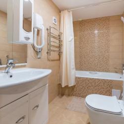 Номер люкс с 1 двуспальной кроватью 3 (315)