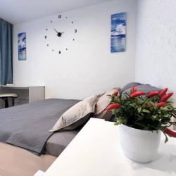 Апартаменты стандарт Геологоразведчиков 44а