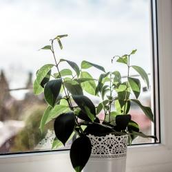 Фото Апартаменты на улице Гранатная