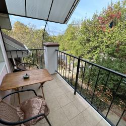 Фото Отель Лев