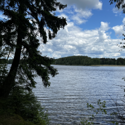 Мини-дом «Немо»