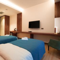 Фото Отель Wellness Hotel and Spa (Велнесс)