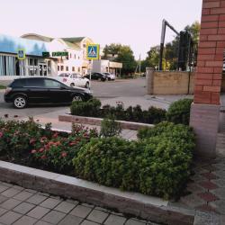 Фото Отель Кедр