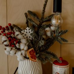 Дом у яблони