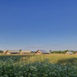 Фото Отель Носороги