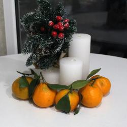 Фото Апартаменты на проезде 4-ый Чернышевский 6Д