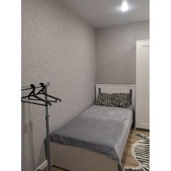 Фото Апартаменты на улице Ойунского 7