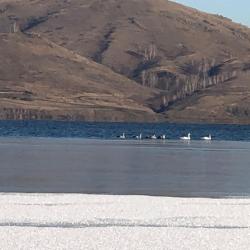 Фото Отель Apreski Бунгало на Банном (Апрески)