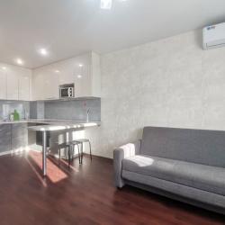 2-комнатные апартаменты улучшенные Дыбенко 27а