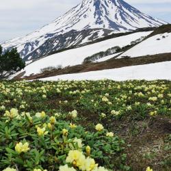Фото Отель Vilyuchik Camp (Вилючик Кэмп)