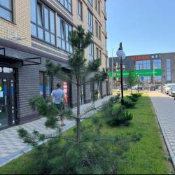 Фото Отель Уютная атмосфера на улице Тибетская 1Вс3