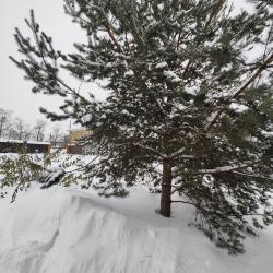 Пролетарская 19 — 3272f3b39cdeaa6dbb4033d936e2dbbc