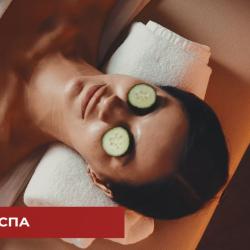 DIS President hotel (Дис Президент) — 3273364872891a5d34accc1af157d1f4