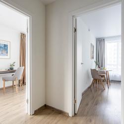 1-комнатные апартаменты улучшенные RoomyRoom Lomonosovskaya