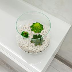 Фото Апартаменты на улице Чистопольская 74