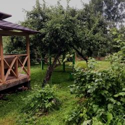 Фото Отель Легенды Алтая