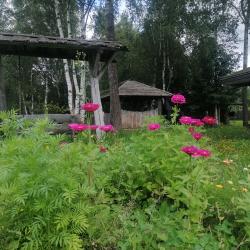 Фото Отель Гостевой дом Окулова Заимка