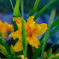 Фото Отель Яковка