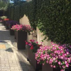 Фото Отель Palma park (Пальма Парк)