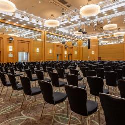 фото 51 Holiday Inn Moscow Sokolniki (Холидей Инн Москва Сокольники)