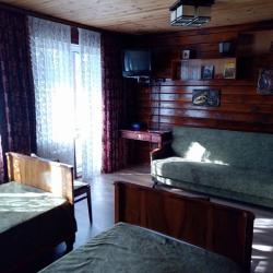 1-комнатный номер Советский